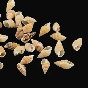 Natural Spiral Shell Beads