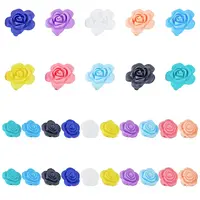 20 Style Food Grade Eco-Friendly Silicone Beads