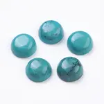 Natural Howlite Cabochons