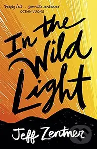 In the Wild Light - Jeff Zentner