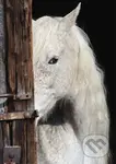 Equine Beauty - puzzle z kategorie Zvířata