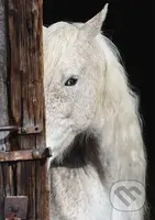 Equine Beauty - puzzle z kategorie Zvířata