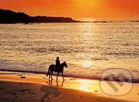 Walk at sunset - puzzle z kategorie Přírodní scenérie