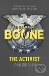 Theodore Boone: The Activist - John Grisham