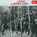 Povstání českého lidu - audiokniha