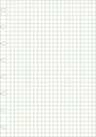 Filofax - Notebook, náplň A5, papíry čtverečkované