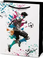 Taška MFP dárková T 4 mix č.89 190x250x100