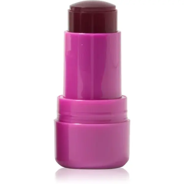Technic Cosmetics Jelly Tint tvářenka v tyčince na rty a tváře odstín Berry Cool 9 g