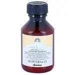 Davines Naturaltech Purifying Shampoo čisticí šampon proti lupům 100 ml