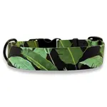 PafDog Široký designový obojek pro psy Banana Leaf 3,8 cm PAF-975