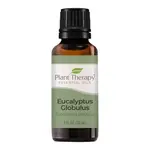 Plant Therapy Eucalyptus Globulus 30 ml