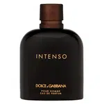 Dolce & Gabbana Pour Homme Intenso parfémovaná voda pro muže 200 ml