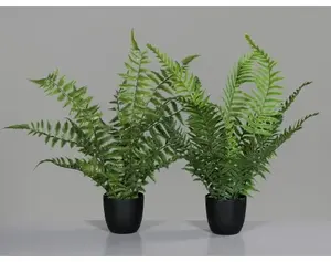 Umělá rostlina v květináči Kapradina, 36 cm (2 druhy)