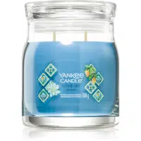 Yankee Candle Azure Sky vonná svíčka 368 g