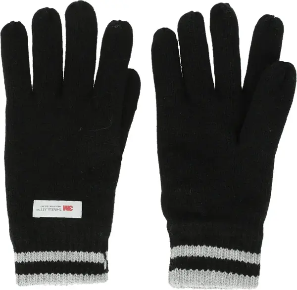 Pánské rukavice Whistler Hancok M Thinsulate