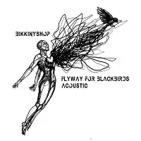 Bikkinyshop – Flyway for Blackbirds - acoustic
