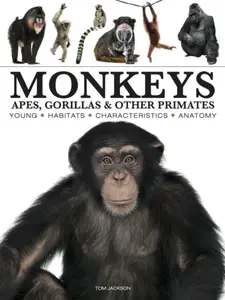 Monkeys - Tom Jackson