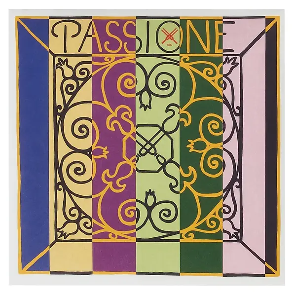 Pirastro Passione Vln (G)