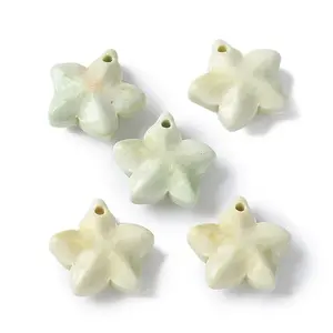 Natural Rainbow Alashan Agate Charms