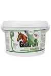Gelapony Vitamin 900g