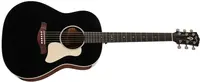 Taylor Gold Label 517e Blacktop