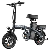 URLIFE F1L Electric Bike 250W 48V 7.5Ah 25km/h Grey