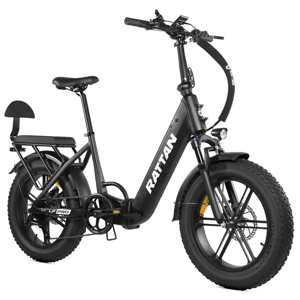 RATTAN LF Pro Electric Bike 750W 48V 18Ah