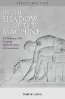 In The Shadow of the Machine - Jeremy Naydler