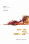 What Comes After Entanglement? - Eva Haifa Giraud