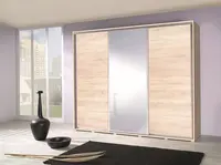 Šatní skříň Penelopa Barva korpusu: Dub - sonoma, Rozměry: 255 cm