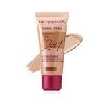 Dermacol Tónovací krém 2 v 1 30 ml Biscuit