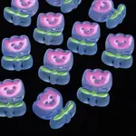 Transparent Acrylic Beads