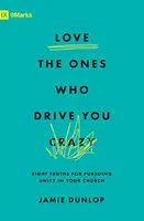 Love the Ones Who Drive You Crazy - Jamie Dunlop