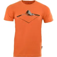 ALPINE PRO BREGAR Pánske tričko, oranžová, veľkosť