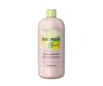 Čistící šampon pro citlivou a napjatou pokožku hlavy Inebrya Ice Cream Cleany Shampoo - 1000 ml (771026388) + dárek zdarma