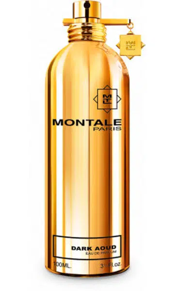 Montale Dark Aoud - EDP 100 ml