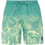 Men's beach shorts Protest PRTAGOR