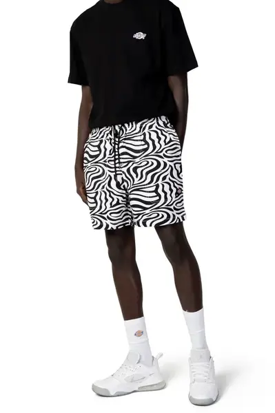 Pánské bermudy Dickies