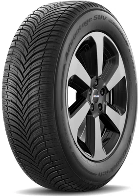 BFGOODRICH 255/55 R 19 111V ADVANTAGE_SUV_ALL-SEASON TL XL M+S 3PMSF FP