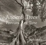 Ancient Trees - Beth Moon