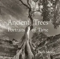 Ancient Trees - Beth Moon