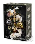 Déšť stínů a konců - Melissa K. Roehrich - kniha z kategorie Fantasy