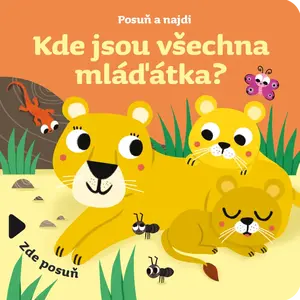 Kde jsou všechna mláďátka? - Sonia Baretti