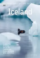 Iceland - Dirk Hilbers