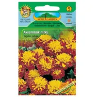 Aksamitnica rozložená plnokvetá, hnědo-žlutá