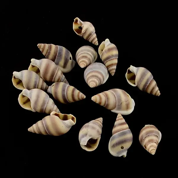 Spiral Shell Charm Pendants