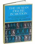 The Human Figure in Motion - Eadweard Muybridge