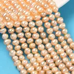 Natural Cultured Freshwater Pearl Beads Strands