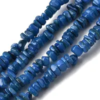 Natural Freshwater Shell Beads
