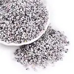 Two Tone Baking Paint Glass Seed Beads